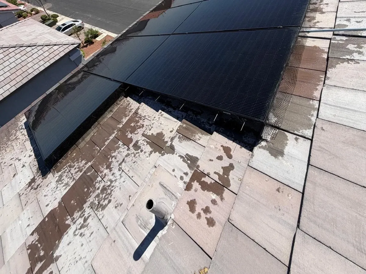Before — Roof section cleaned after the birds were removed